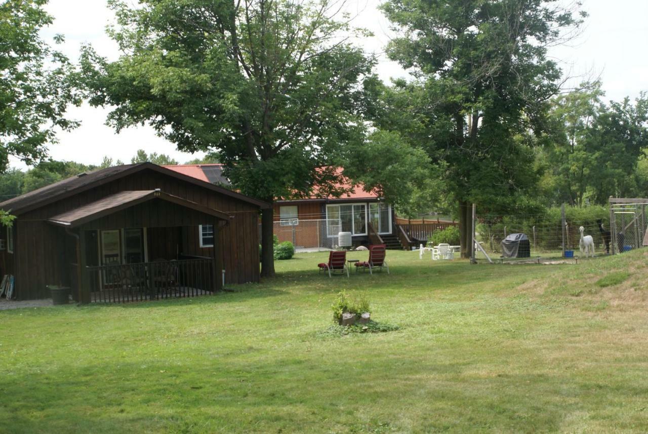 Liftlock Guest House 彼得伯勒 外观 照片